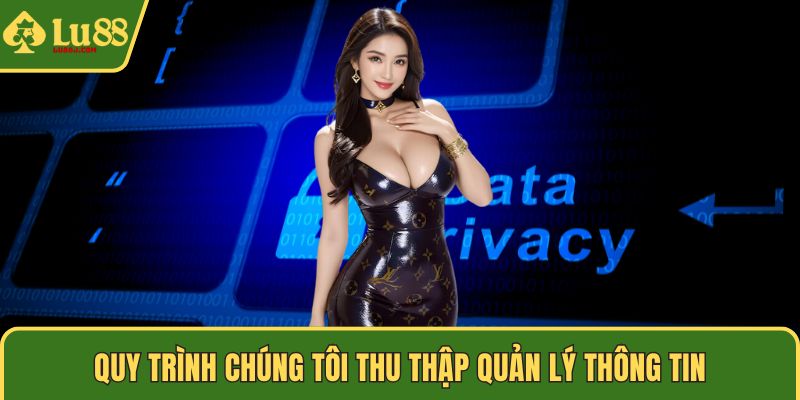 Quy trình chúng tôi thu thập quản lý thông tin
